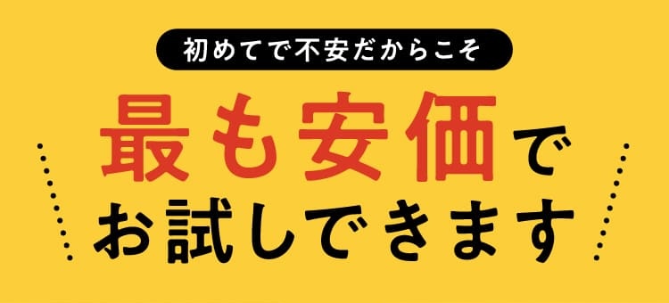 最も安価でお試しできます