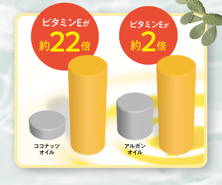 ビタミンEが約20倍