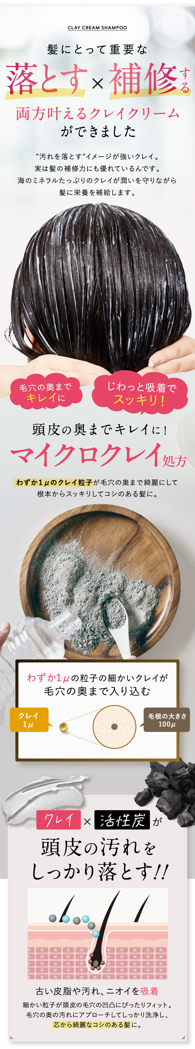 公式の coconeクレイシャンプー ad-naturam.fr