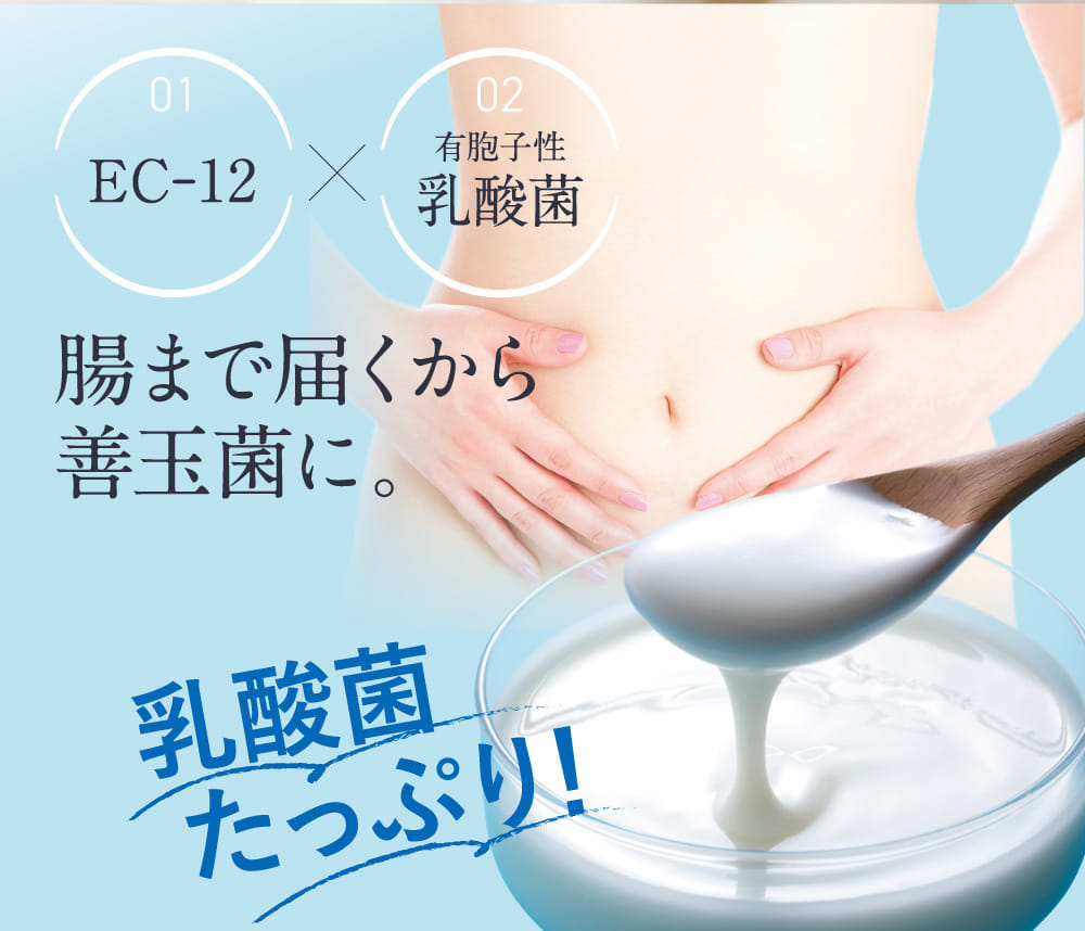 腸まで届くから善玉菌に。