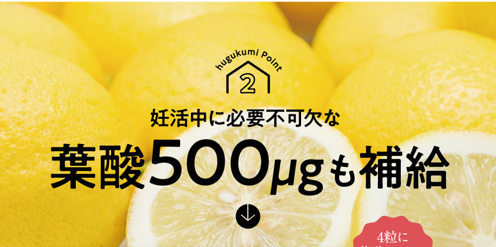 妊活中に必要不可欠な葉酸500μgも補給