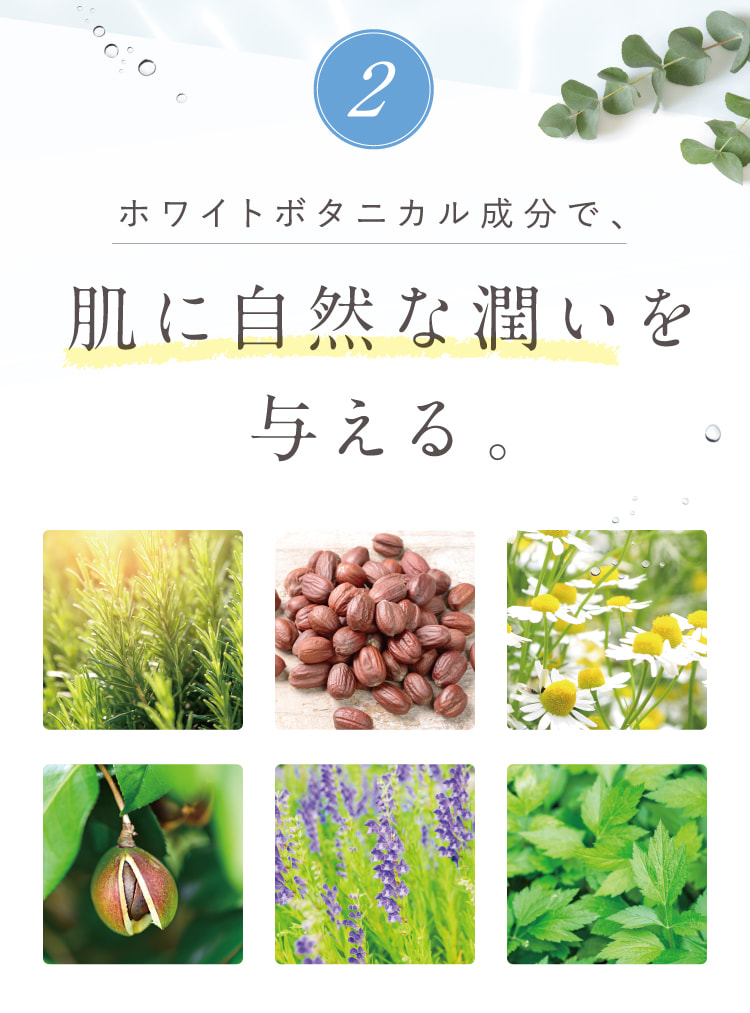 安心して使えるように99%天然由来成分を使用。