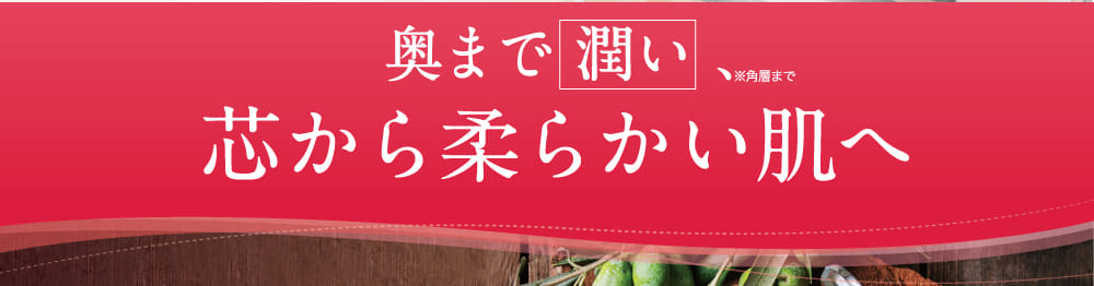 奥まで 潤い 、芯から柔らかい肌へ