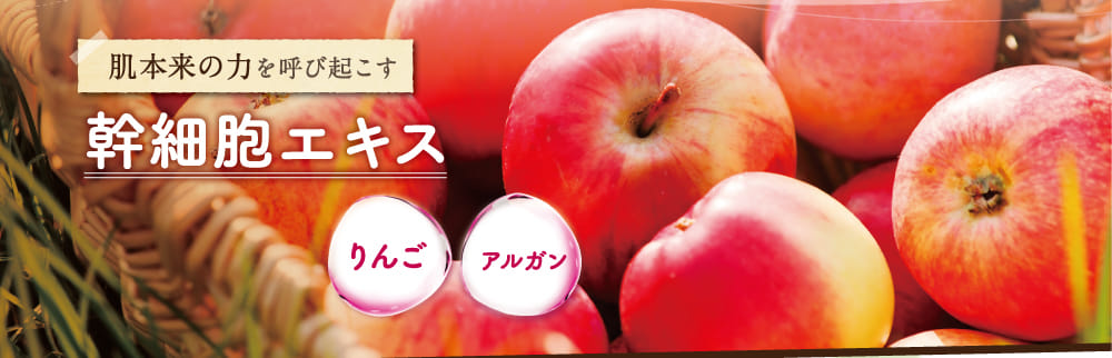 幹細胞エキス