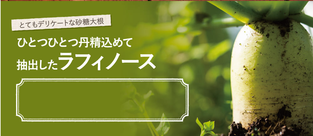 ひとつひとつ丹精込めて抽出したラフィノース