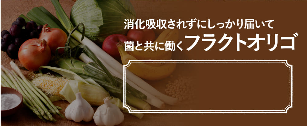 消化吸収されずにしっかり届いて菌と共に働くフラクトオリゴ