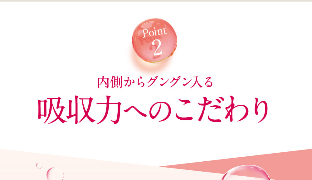 Point2 内側からグングン入る吸収力へのこだわり