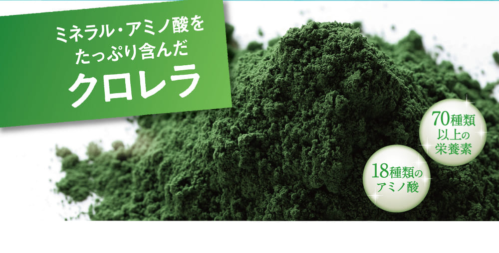 ミネラル・アミノ酸をたっぷり含んだクロレラ