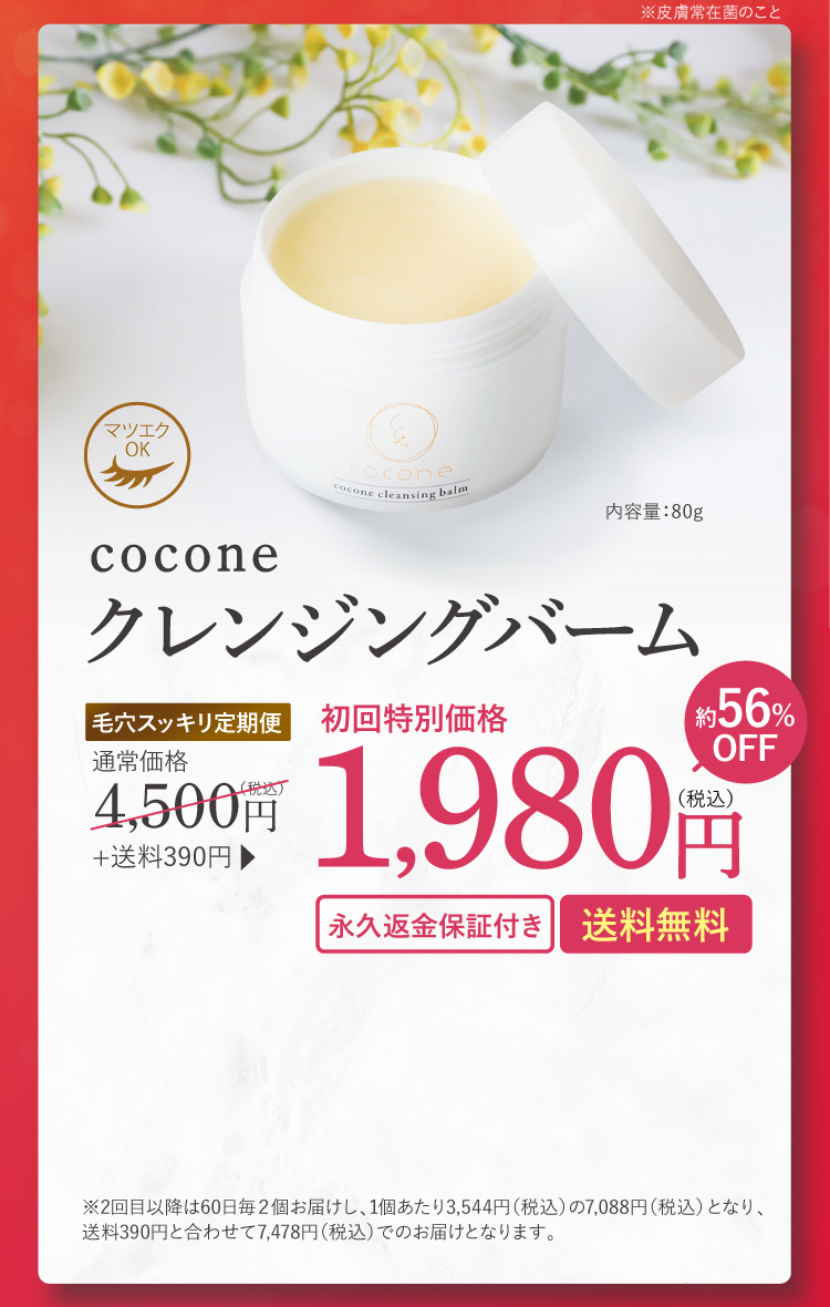 0.1mmが、美しい。1980円