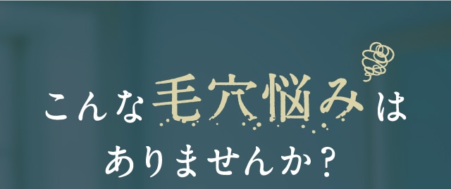 こんな毛穴悩みはありませんか？