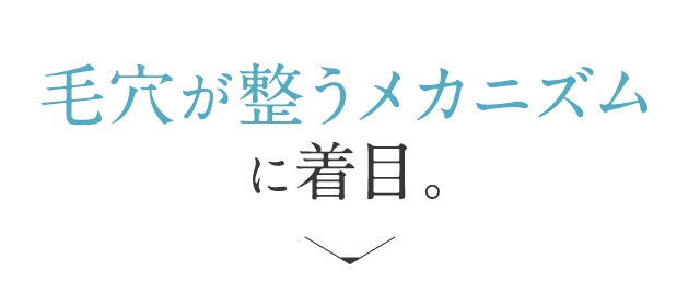 毛穴が整うメカニズムに着目。