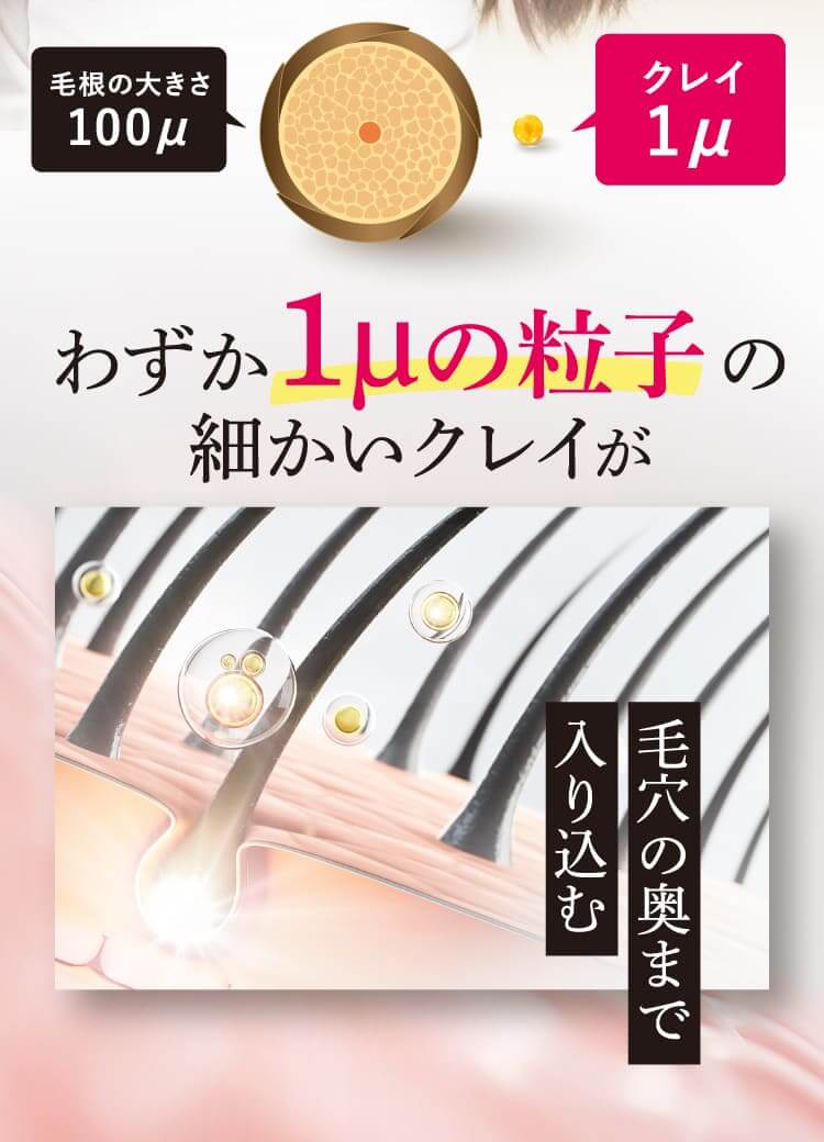 わずか1µの粒子の細かいクレイが毛穴の奥まで入り込む