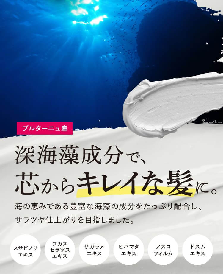 深海藻成分で、芯からキレイな髪に