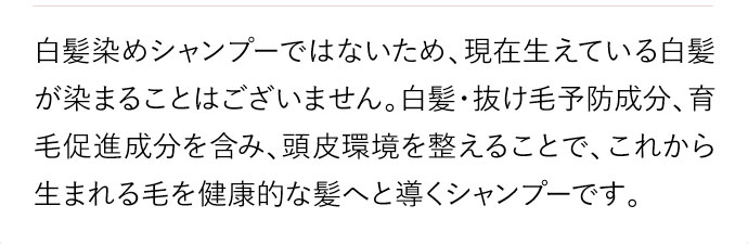 石油系界面活性剤、シリコン、鉱物油、パラベン類、合成着色料、酸化チタン、紫外線吸収剤、サルフェートです。