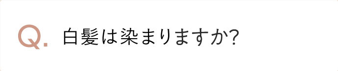 フリー成分はなんですか？