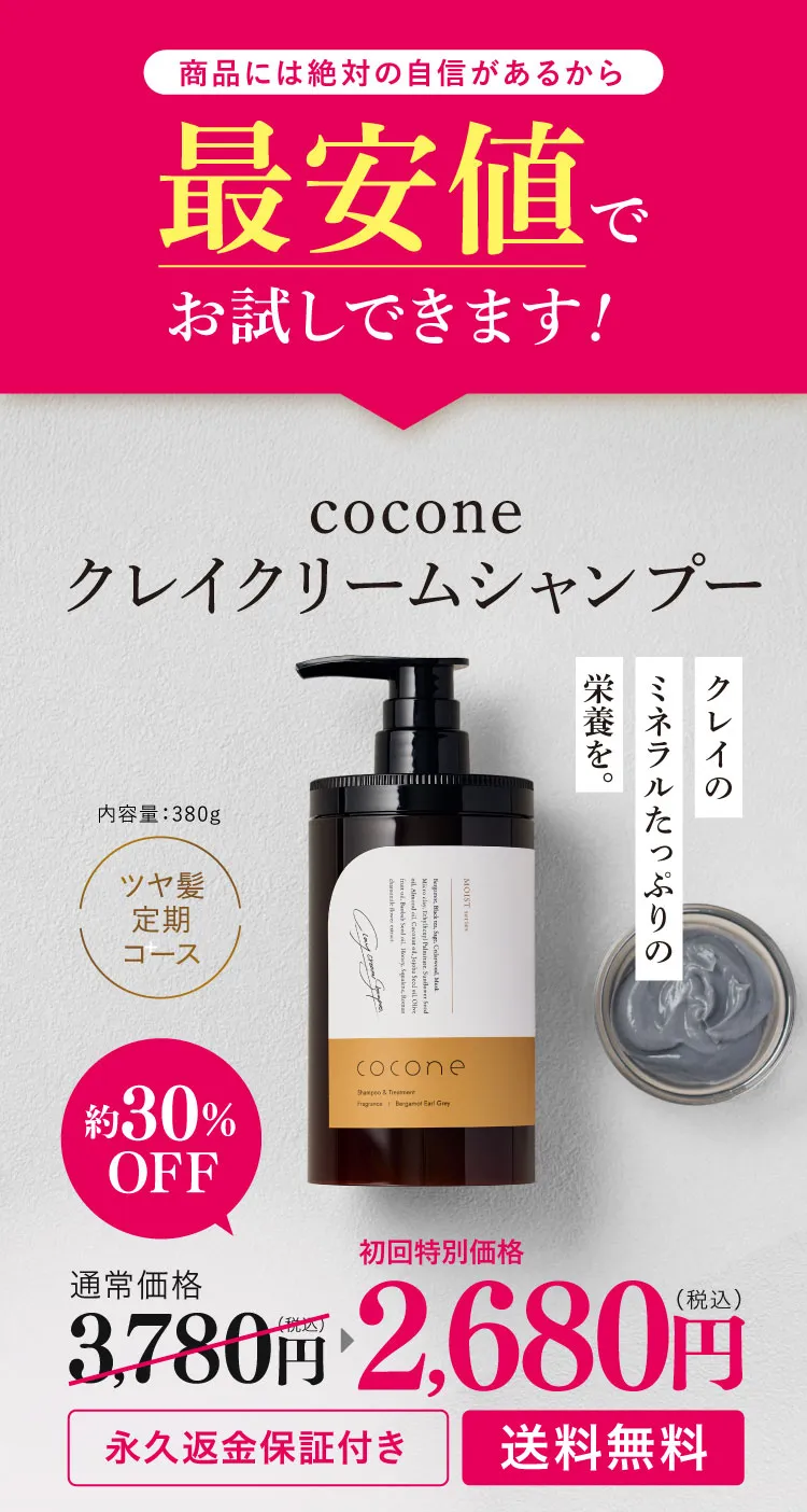 最安値でお試しできます