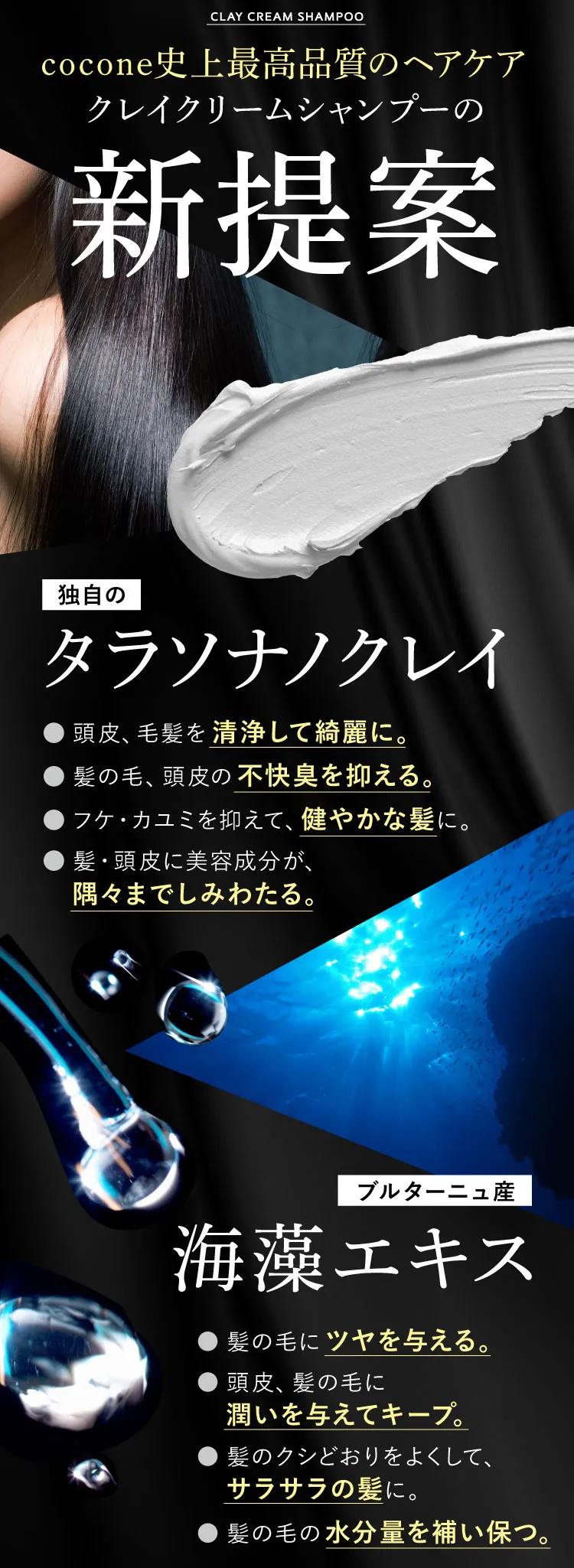 新提案