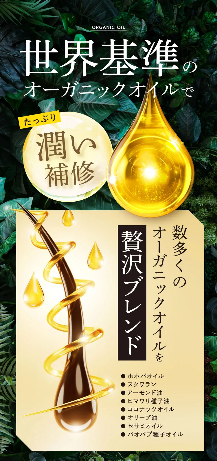 贅沢補修