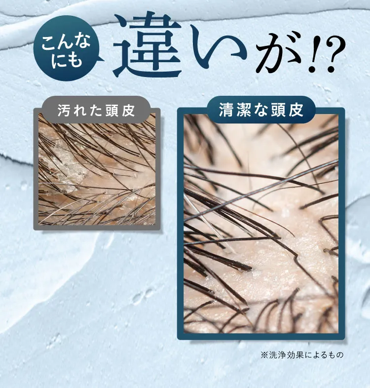 大絶賛しております。