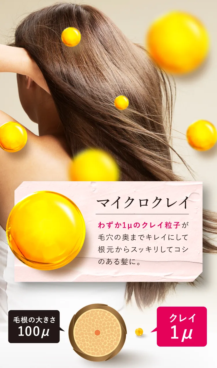 マイクロクレイ