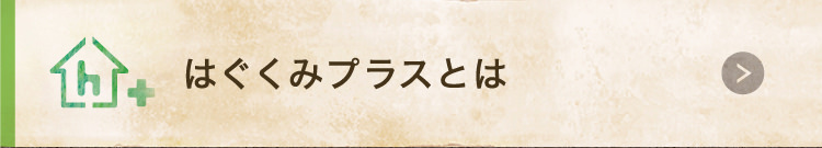 はぐくみプラスとは