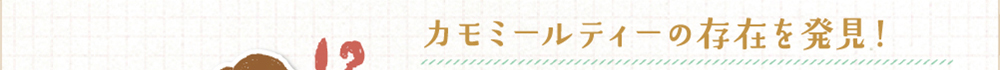 カモミールティーの存在を発見！