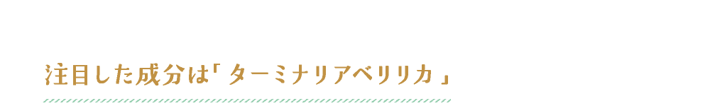 注目した成分は「ターミナリアベリリカ」