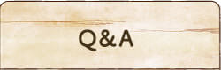 Q&A