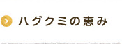 ハグクミの恵み