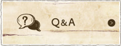 Q&A