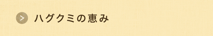 はぐくみの恵み