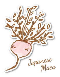 japanese maca