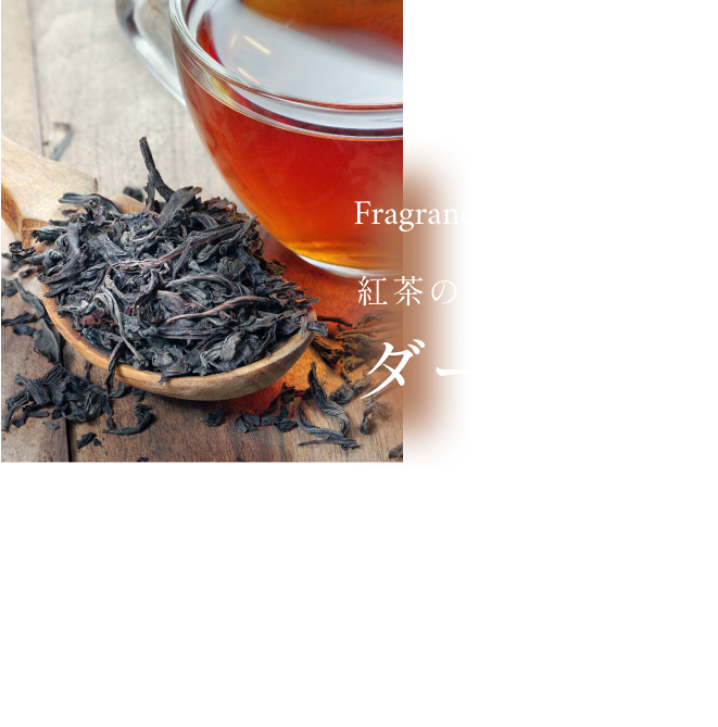 fragrance1 紅茶のシャンパン ダージリン 独特な風味と品質の高さ、限定された産地からしか採れないため、「紅茶のシャンパン」と
          称されるダージリン。
