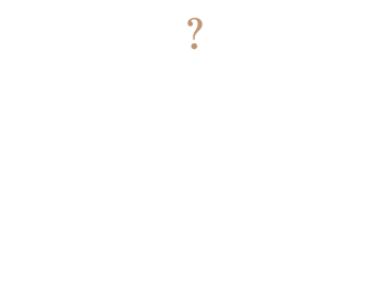 ジュエリーカシスシャンプーとは？