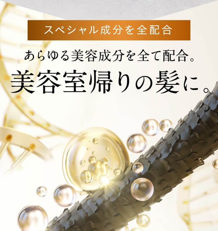 あらゆる美容成分を全て配合。美容室帰りの髪に。