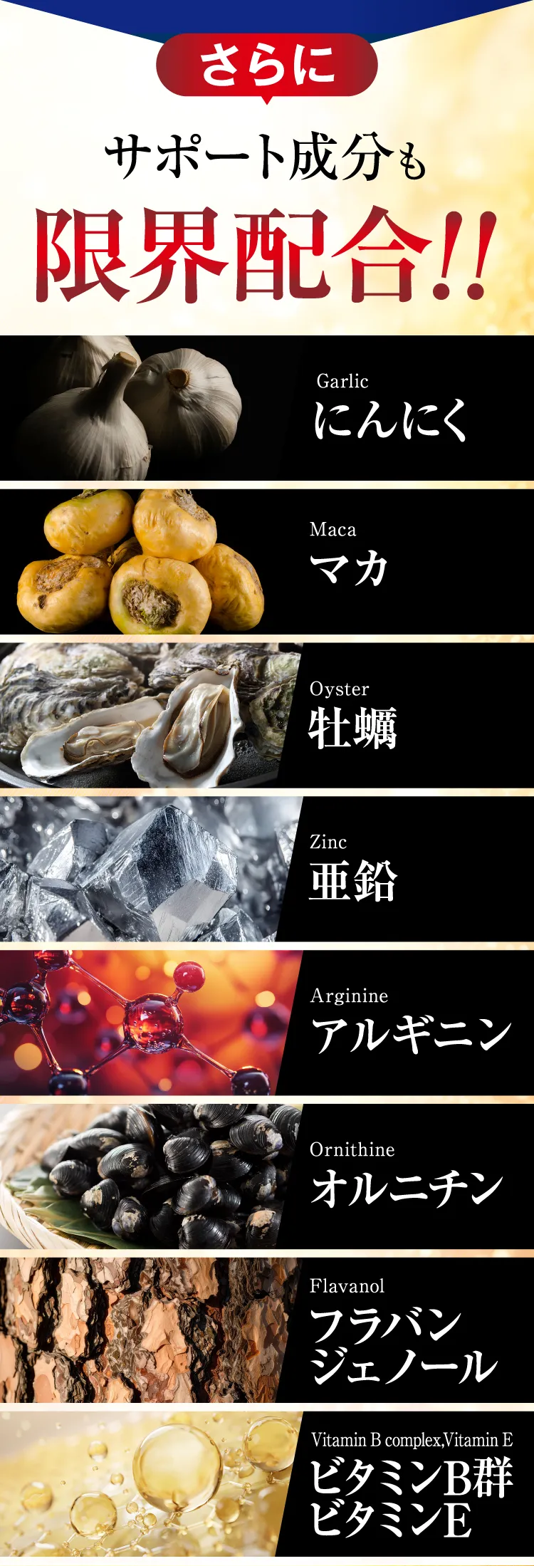 サポート成分も限界配合