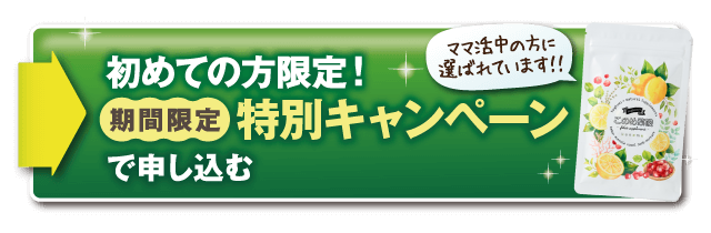 初めての方限定！期間限定特別キャンペーンで申し込む
