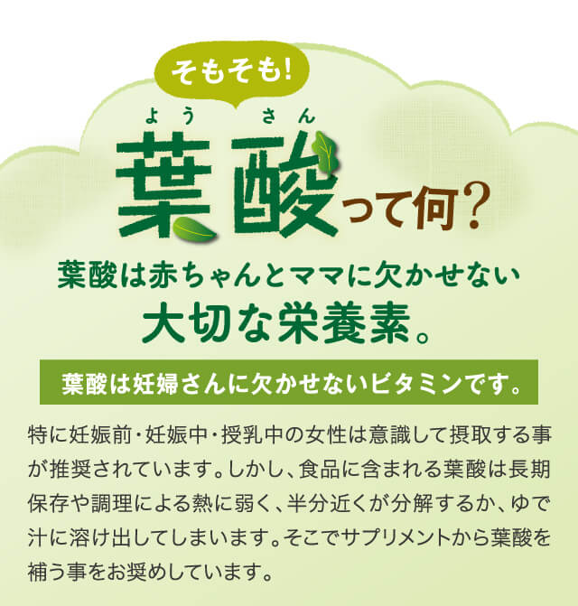 葉酸って何？葉酸は赤ちゃんとママに欠かせない大切な栄養素。