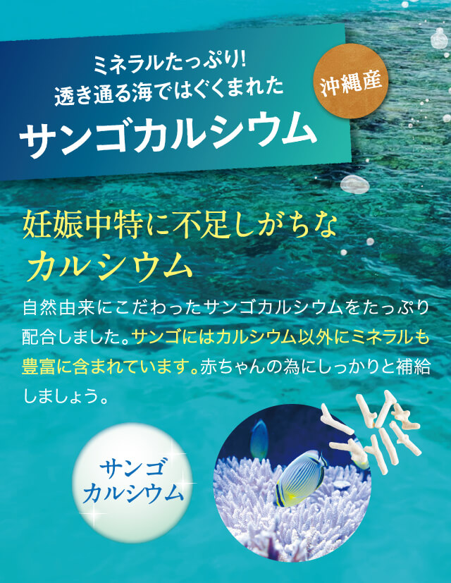 ミネラルたっぷり!透き通る海ではぐくまれたサンゴカルシウム