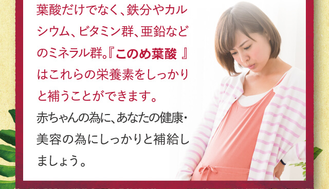葉酸だけでなく、鉄分やカルシウム、ビタミン群、亜鉛などのミネラル群。『はぐくみ葉酸』はこれらの栄養素をしっかりと補うことができます。