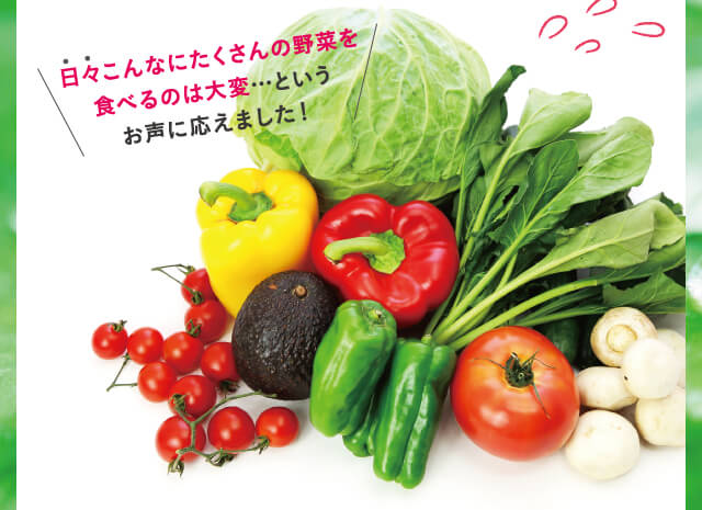 ・・日々こんなにたくさんの野菜を食べるのは大変…というお声に応えました！